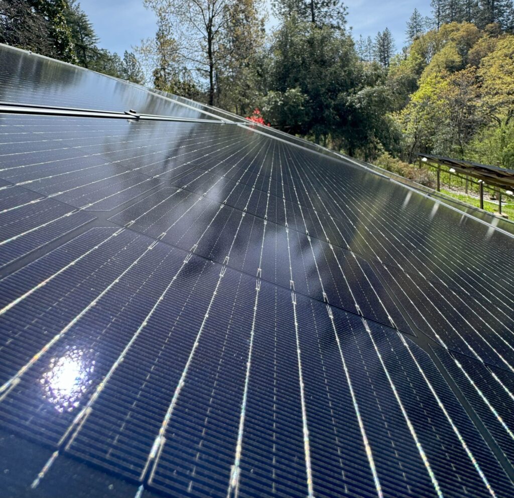 Ground solar panel close up
