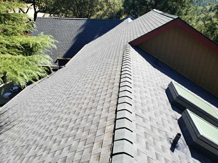 A light grey shingle roof